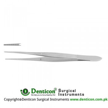Taylor Dressing Forcep Bayonet Shaped - With Dissector End Stainless Steel, 18.5 cm - 7 1/4"